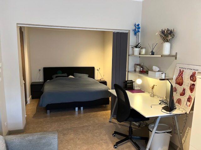 Ruime kamer met bed en bureau